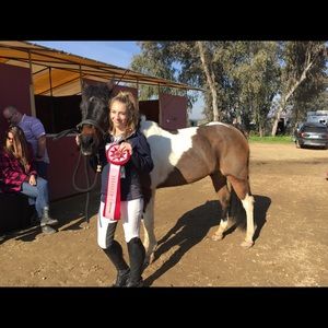 Meet your Posher, Lilly